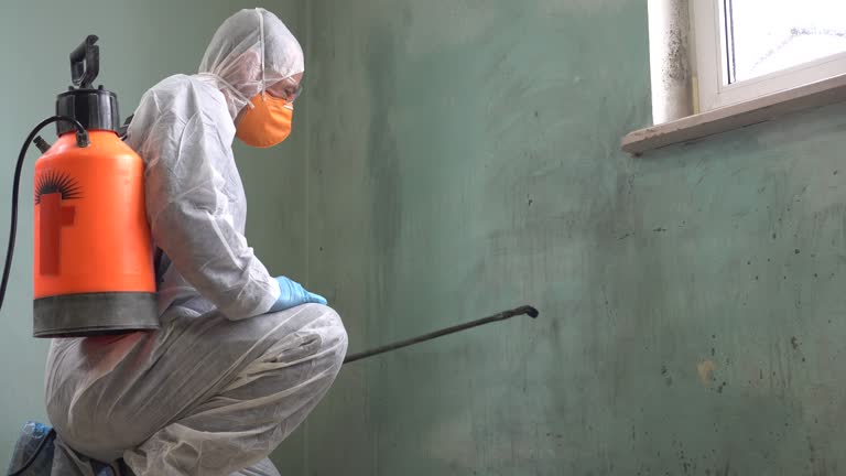 Best Asbestos and Lead Testing During Mold Inspection  in Sandersville, GA